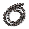 Natural Labradorite Beads Strands G-G0003-C03-6mm-3