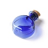 Flat Round Miniature Glass Bottles GLAA-H019-05C-2