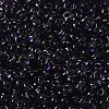 Transparent Colours Glass Seed Beads X1-SEED-P006-02A-12-3