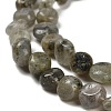 Natural Labradorite Beads Strands G-P497-01E-47-4
