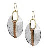 Oval Alloy Dangle Earrings FS-WG1DD9E-01-5