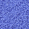 MIYUKI Round Rocailles Beads X-SEED-G007-RR1929-3