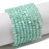 Natural Freshwater Shell Beads Strands SHEL-P017-01A-08-1