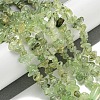 Natural Prehnite Beads Strands G-P332-41A-5
