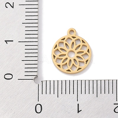 304 Stainless Steel Charms STAS-K286-01E-G-1