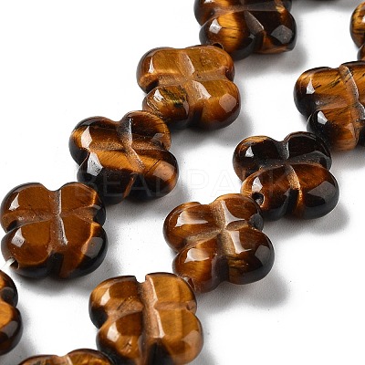Natural Tiger Eye Beads Strands G-P520-A09-01-1