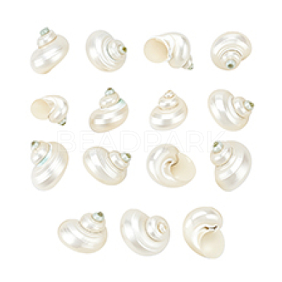 15Pcs Mini Natural Spiral Shell Beads FIND-PH0026-80-1