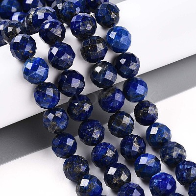 Natural Lapis Lazuli Beads Strands G-S345-10mm-24-1