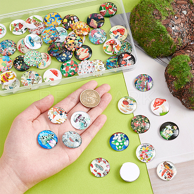 Glass Cabochons GLAA-PH0002-28B-1