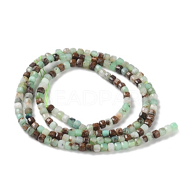 Natural Chrysoprase Beads Strands G-P514-B03-01-1