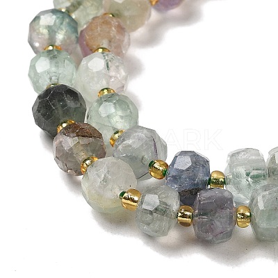 Natural Fluorite Beads Strands G-P508-A07-01-1