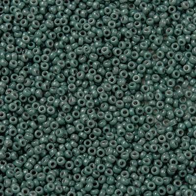 MIYUKI Round Rocailles Beads SEED-JP0010-RR4481-1