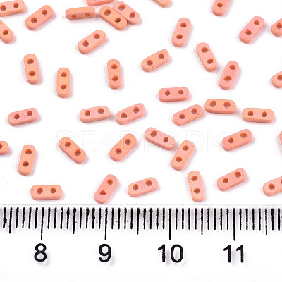 FGB 2-Hole Glass Seed Beads X-SEED-S031-S-SQ50FR-1