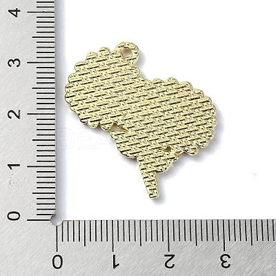 Alloy Enamel Pendants LS-FIND-Q102-07E-1
