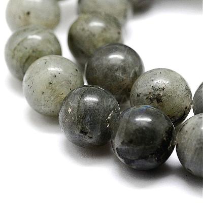 Natural Labradorite Bead Strands G-P256-01-10mm-1