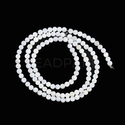 Natural Cultured Freshwater Shell Beads Strands X-BSHE-H109-03A-1
