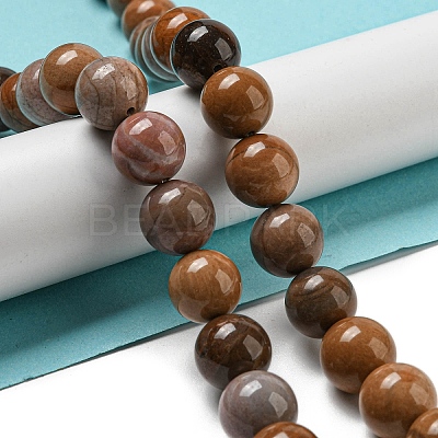 Natural Petrified Wood Round Bead Strands G-F266-08-12mm-1