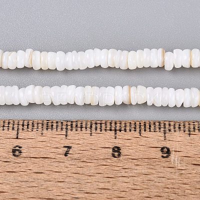 Natural Freshwater Shell Beads Strands SHEL-Q028-01A-1