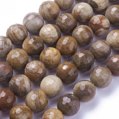 Natural Petrified Wood Beads Strands G-P430-16-D-1