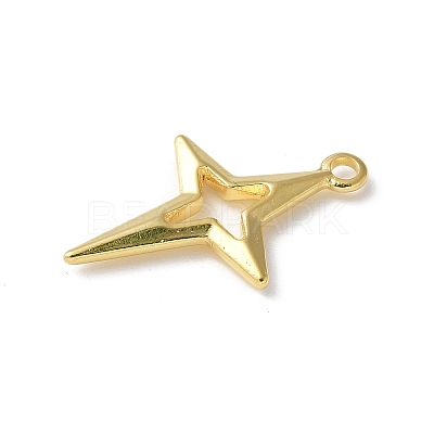 304 Stainless Steel Pendants LS-STAS-I330-013G-1