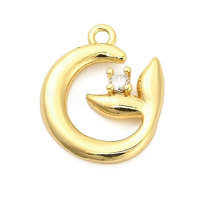 Brass Micro Pave Cubic Zirconia Pendants ZIRC-F143-04G-1