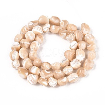 Natural Trochid Shell/Trochus Shell Beads Strands SSHEL-N040-13-1