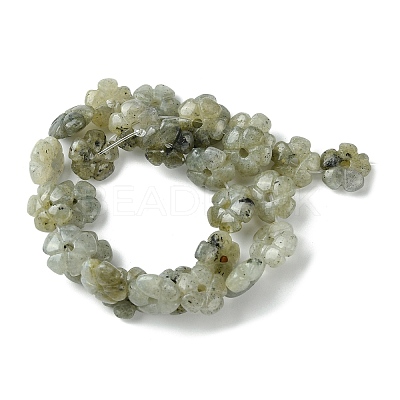 Natural Labradorite Beads Strands G-H023-B19-01-1