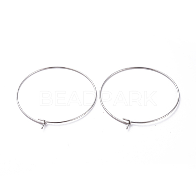 316 Surgical Stainless Steel Hoop Earring Findings STAS-J025-01E-P-1
