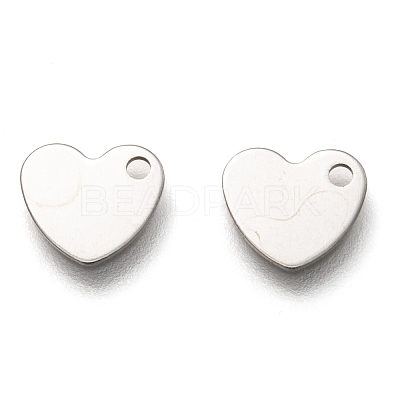 Non-Tarnish 201 Stainless Steel Charms STAS-B001-24P-1