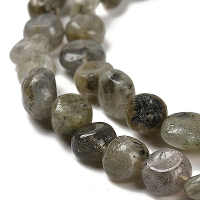 Natural Labradorite Beads Strands G-P497-01E-47-1