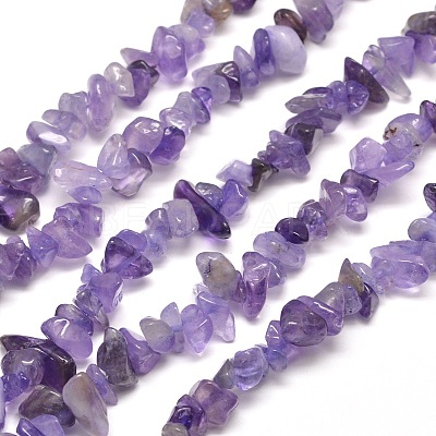 Natural Amethyst Chip Bead Strands X-G-M205-04-1