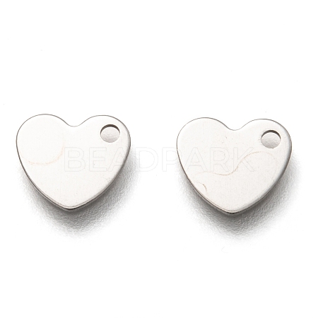 Non-Tarnish 201 Stainless Steel Charms STAS-B001-24P-1