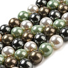 Polished Shell Pearl Bead Strands BSHE-F013-07D-1