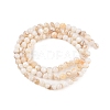 Natural Freshwater Shell Beads Strands SHEL-T011-02-2mm-2