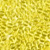 FGB Transparent Glass Seed Beads SEED-N013-01C-03-4