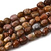 Natural Petrified Wood Beads Strands G-L621-C11-01-2