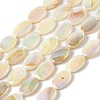 Natural Freshwater Shell Beads Strands X-BSHE-H018-06-1