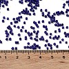 Baking Paint Glass Seed Beads SEED-S042-05B-78-4