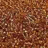 TOHO 6/0 Round Beads SEED-TR06-0022B-3