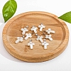 Natural White Shell Pendants PW-WG99836-01-3