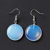 Gemstone Flat Round Dangle Earrings EJEW-D188-03P-4