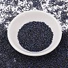 MIYUKI Delica Beads SEED-MY11-DB2191-2