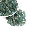 Picasso Transparent Glass Beads SEED-Q039-02E-1