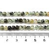 Natural Prehnite Beads Strands X-G-B088-E16-04-5
