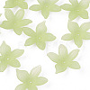 Transparent Acrylic Beads MACR-S373-127-D06-1