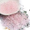 6/0 Inside Colours Fringe Glass Seed Beads SEED-A034-03F-1