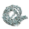 Natural Larimar Beads Strands G-G0003-B40-2