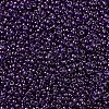 MIYUKI Round Rocailles Beads SEED-JP0008-RR0308-3