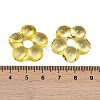 Transparent Glass Beads GLAA-F129-01M-3