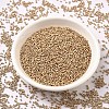 MIYUKI Delica Beads X-SEED-J020-DB1152-2